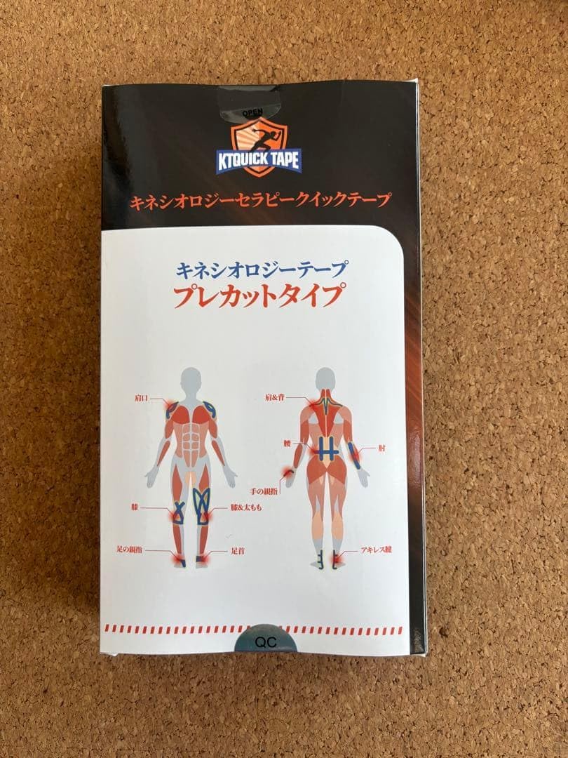 水彩画 東京大学 安田講堂 SHO 水彩画 東京大学 安田講堂 SHO 水彩画